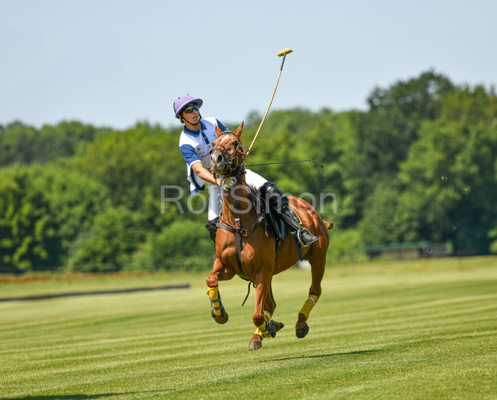 Hamburger Polo Derby 2025 3446 3